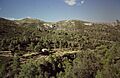 1997 08 Voluntariat ambiental d'ACREBO a la Serra de Xiva 02