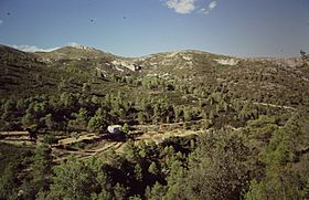 1997 08 Voluntariat ambiental d'ACREBO a la Serra de Xiva 02.jpg