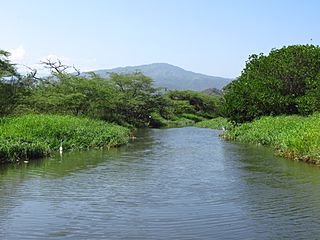 2021 Santa Marta - El río Gaira cerca de su desembocadura.jpg