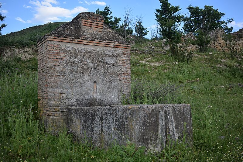 20240518 MONTARRON VIEJO