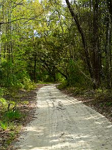 Archivo:A Country Road In Jefferson County, Florida