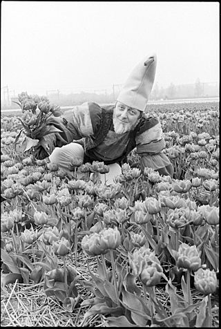 Aart Staartjes verkleed als kabouter - Pinkeltje - in tulpenveld, 1978 - 06.jpg