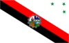 Bandera de Minga Guazú.png