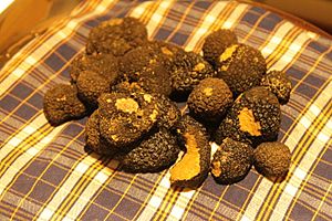 Archivo:Black truffles, San Miniato