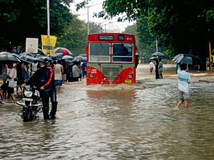 Archivo:Bombay flooded street
