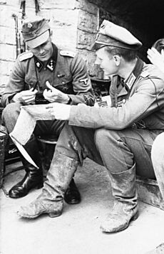 Archivo:Bundesarchiv Bild 101I-712-0475-03, Litauisch-lettische Grenze, Lagebesprechung