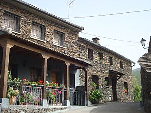 Archivo:Campillejo - (Campillo de Ranas) - 005 (30676076436)