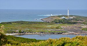 Archivo:Cape Leeuwin context
