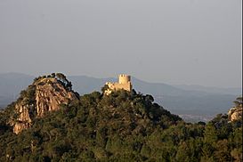 CastellFarners-1211.jpg