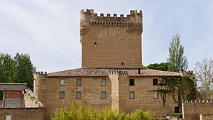 Archivo:Castillo de Cuzcurrita de Rio Tiron - East