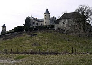 Archivo:Château de Andert-et-Condon