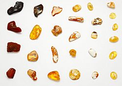 Archivo:Colours of Baltic Amber