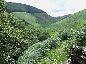 Archivo:Cwm Doethie, from near Foel, Ceredigion - geograph.org.uk - 511279