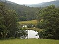 Dams along Pocket Road, Numinbah Valley, Queensland