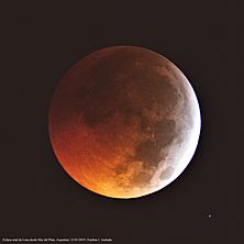 Archivo:Eclipse total de Luna - 21 de enero de 2019 por Esteban J. Andrada