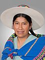 Felicia Alejo Hidalgo. Official portrait, 2020. Chamber of Deputies of Bolivia