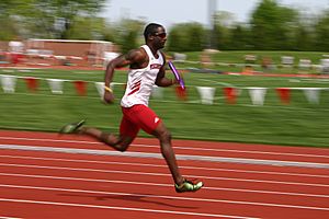 Archivo:Flickr cc runner wisconsin u