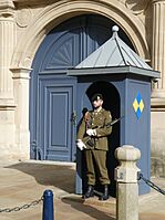 Guardia del Palacio Gran Ducal de Luxemburgo.jpg