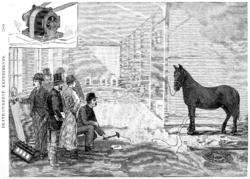 Archivo:Harold Pitney Brown edison electrocute horse 1888 New York Medico-Legal Journal vol 6 issue 4
