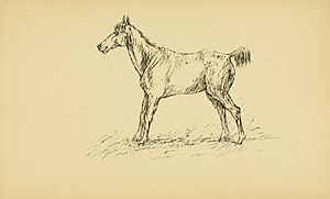 Archivo:Horses in accident and disease BHL20613417