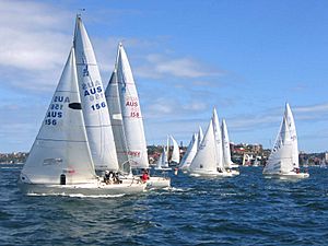 Archivo:J-24 yacht racing, Sydney Harbour