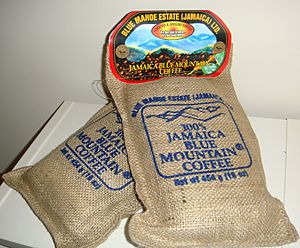 Archivo:Jamaica Blue Mountain Coffee 9494