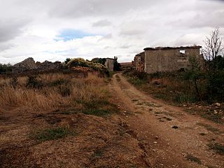 Lorilla01.jpg