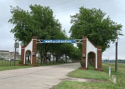 Monte de los Gauchos 16 (cropped).jpg