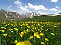 Mountainside of Sahand