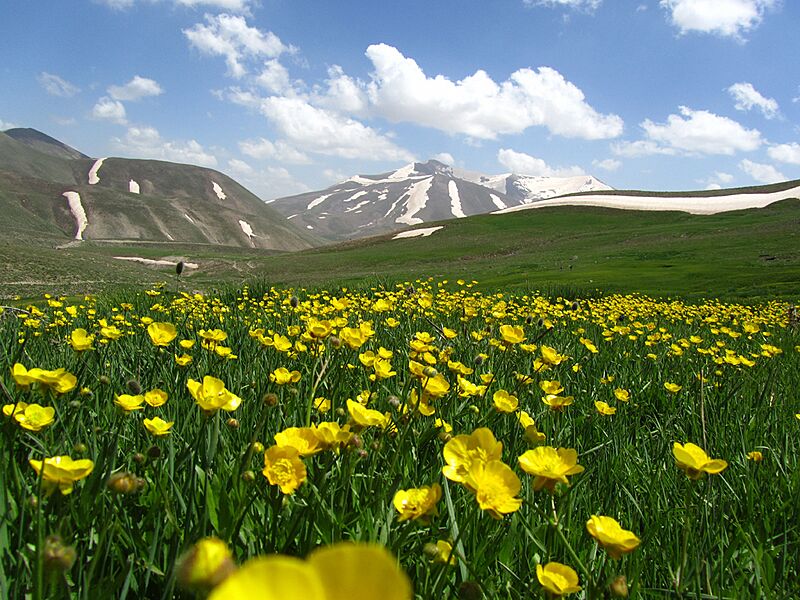 Mountainside of Sahand