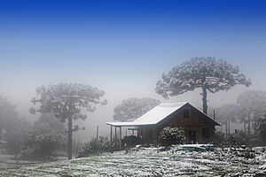 Archivo:Neve Caxias do Sul (3)