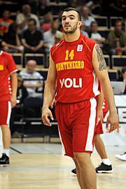 Archivo:Nikola Pekovic