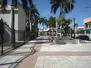 Archivo:Parque de Los Fundadores Baní