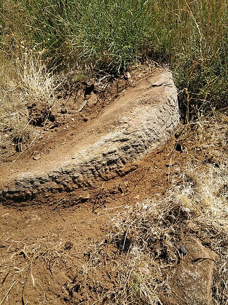 Piedra de molino enterrada