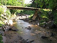 Archivo:Río Platanitos en Bárcena Villa Nueva