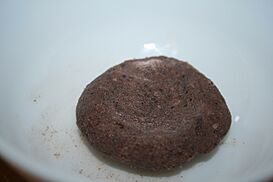 Raw ngapi.JPG