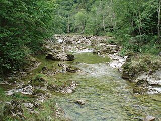 Rio Dobra.jpg