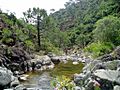 Rio Padrón12