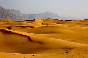 Archivo:Shifting Sands