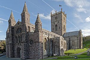 Archivo:StDavids-wyrdlight-2N16