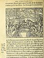 Thevet Singularitez Paris 1558 f 46v Saliva