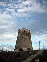 Torre de lagos (1)