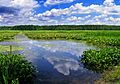 Union Township, Conneaut Marsh