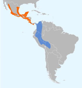 Distribución geográfica del vireo verdiamarillo.