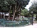 Zarautz patos