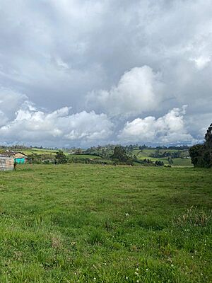 Archivo:Altiplano Nariñense