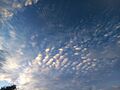 Altocumulus undulatus & Cirrocumulus undulatus (28112021)