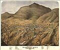 Birds Eye View Virginia City 1875 drawing