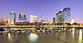 Buenos Aires Cityline at Night - Irargerich