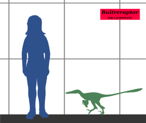 Archivo:BuitreraptorSIZE